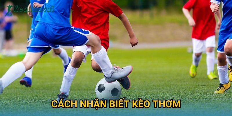 Cách nhận biết kèo thơm Keonhacai – Mẹo soi kèo an toàn và hiệu quả